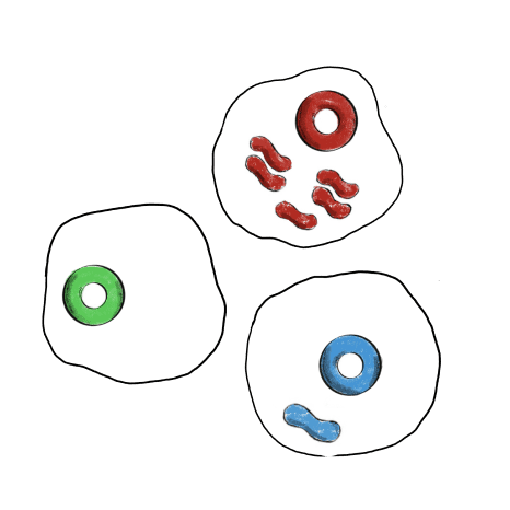 One variant per droplet, a million experiments per round — Pando wet lab for enzyme engineering